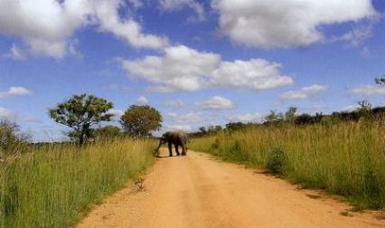 Masai_Mara_park