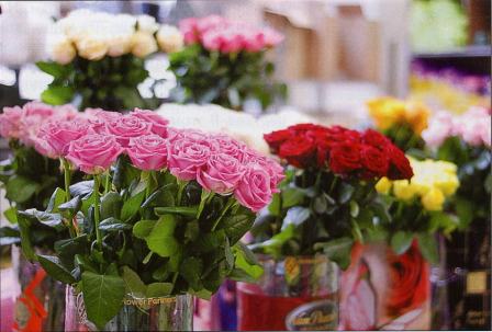 floriculture_Industry